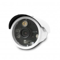 全視線TS-BL2B 四合一(TVI / AHD / CVI / 類比) 智慧暖光LED全彩槍型攝影機